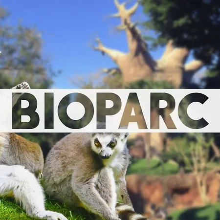 Calle Goya Sun דירה פואנגירולה