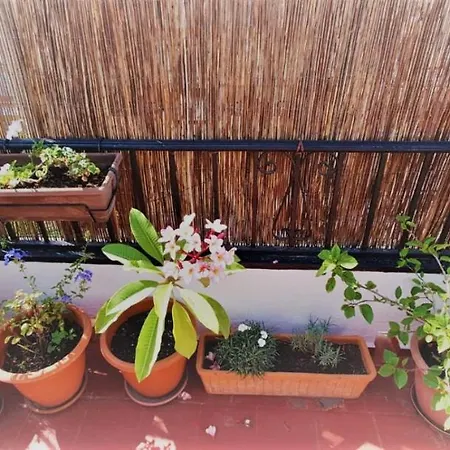 Calle Goya Sun * Fuengirola