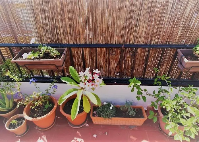 Calle Goya Sun * Fuengirola